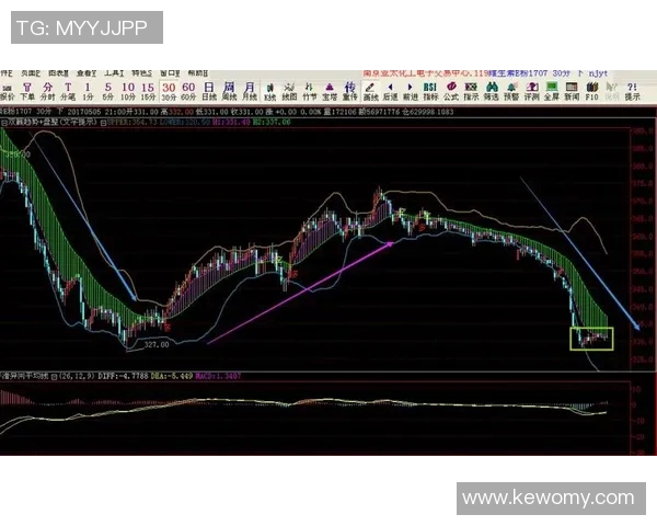 南京网球队在洲际杯中的个人能力表现分析与点评