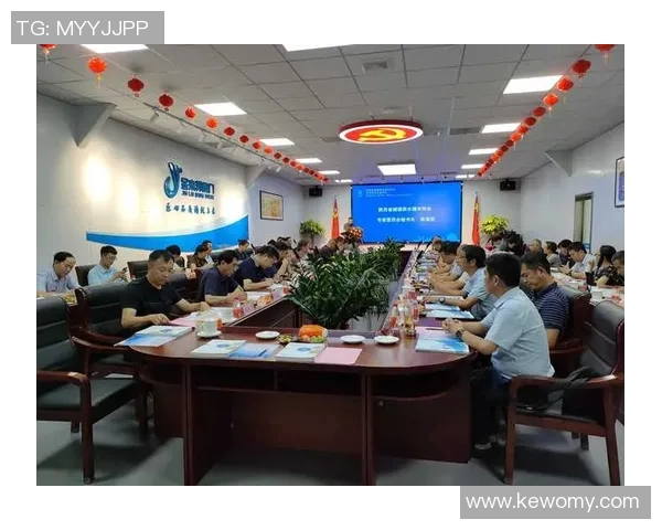 西安羽毛球队实力解析：从训练到比赛的全方位探讨与展望