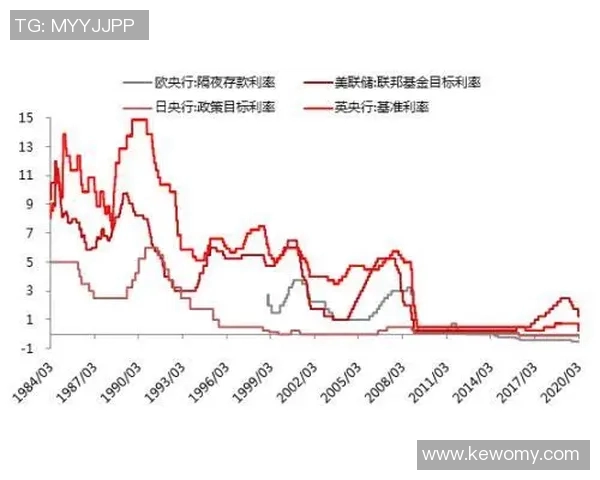 日本与欧美下载方式对比迅雷下载的优势与劣势分析