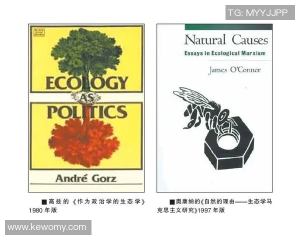 倪永康的政治生涯与影响力分析及其对中国现代政治的启示 倪永康的政治生涯与影响力分析及其对中国现代政治的启示