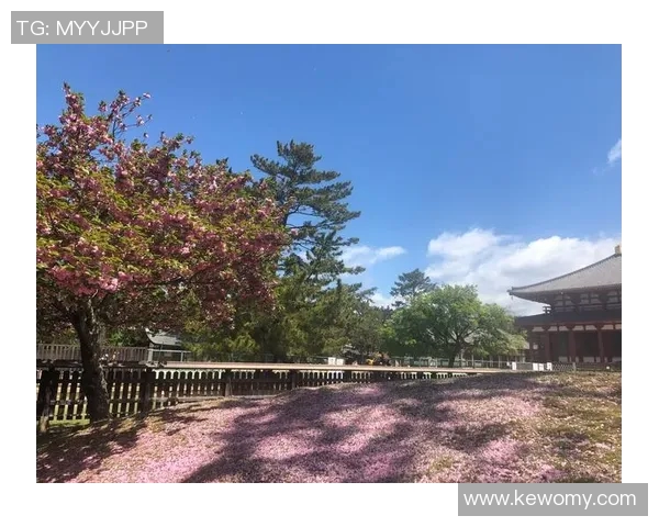 湖南比马与大阪樱花的精彩对决展现足球魅力与团队精神的巅峰时刻