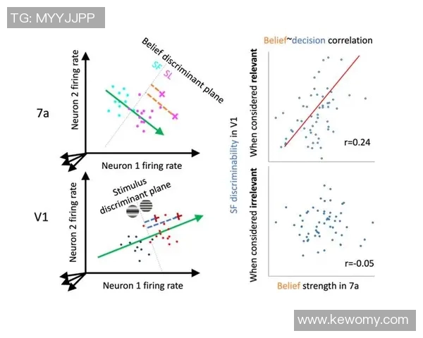 赛后分析FPX与V5对决中的战术布局与关键决策探讨