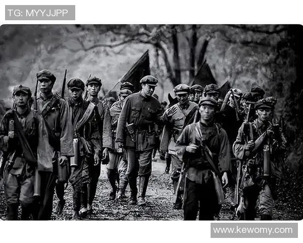 北京排球队阵地战体系解析及战术策略探讨